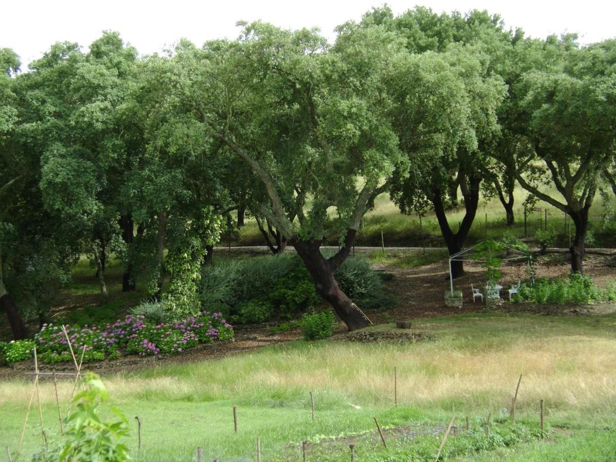Quinta Do Cano Эвора Экстерьер фото