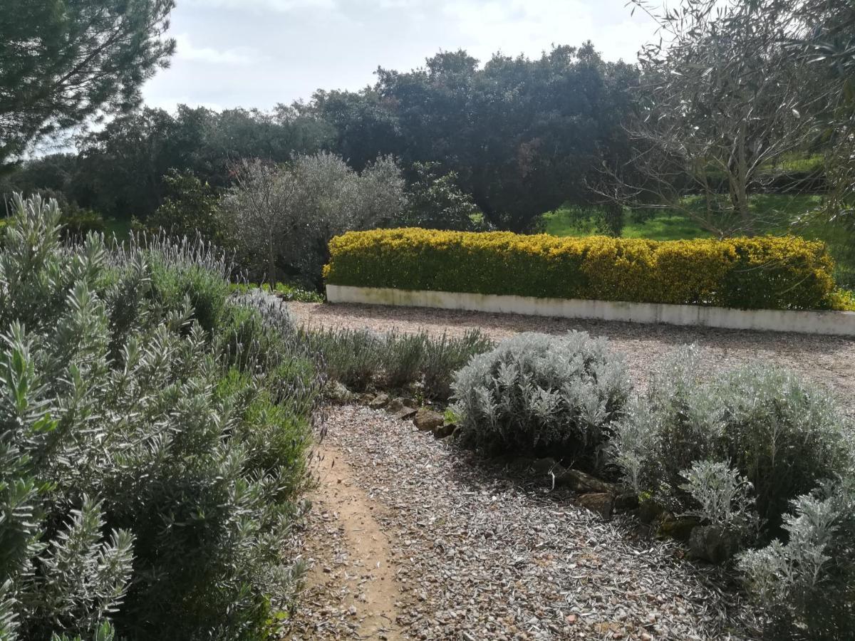 Quinta Do Cano Эвора Экстерьер фото
