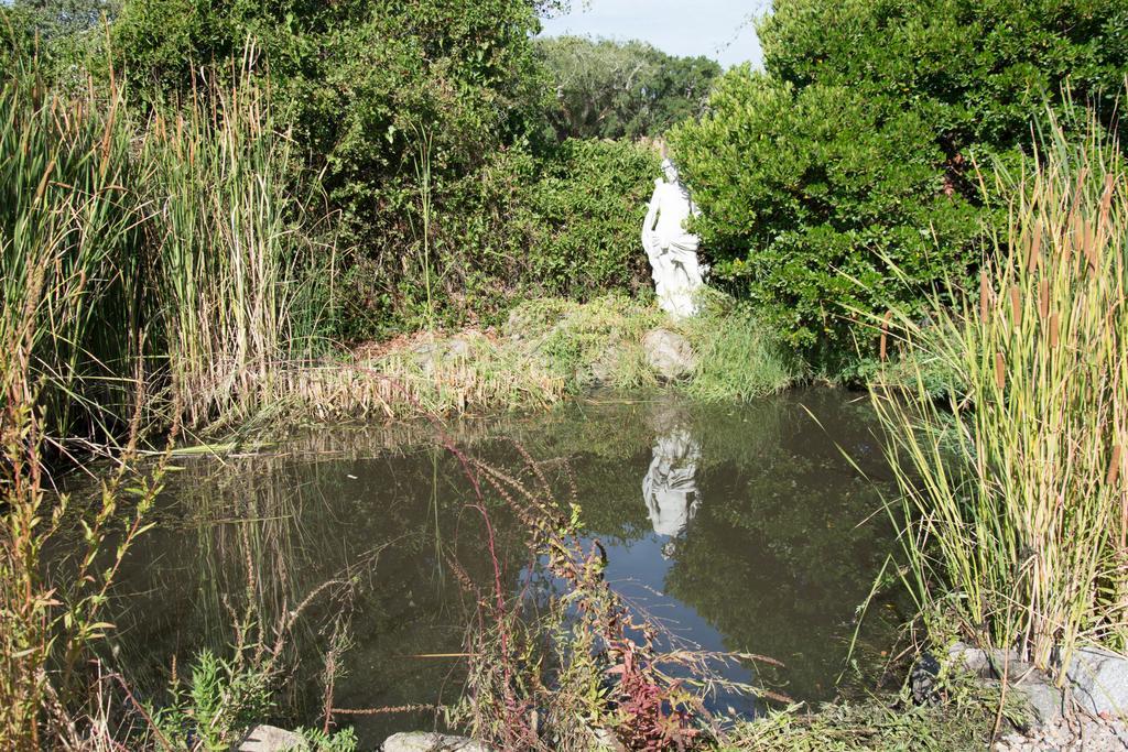 Quinta Do Cano Эвора Экстерьер фото